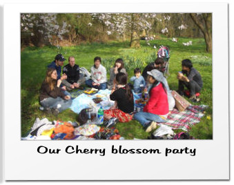 Our Cherry blossom party