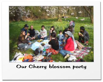 Our Cherry blossom party